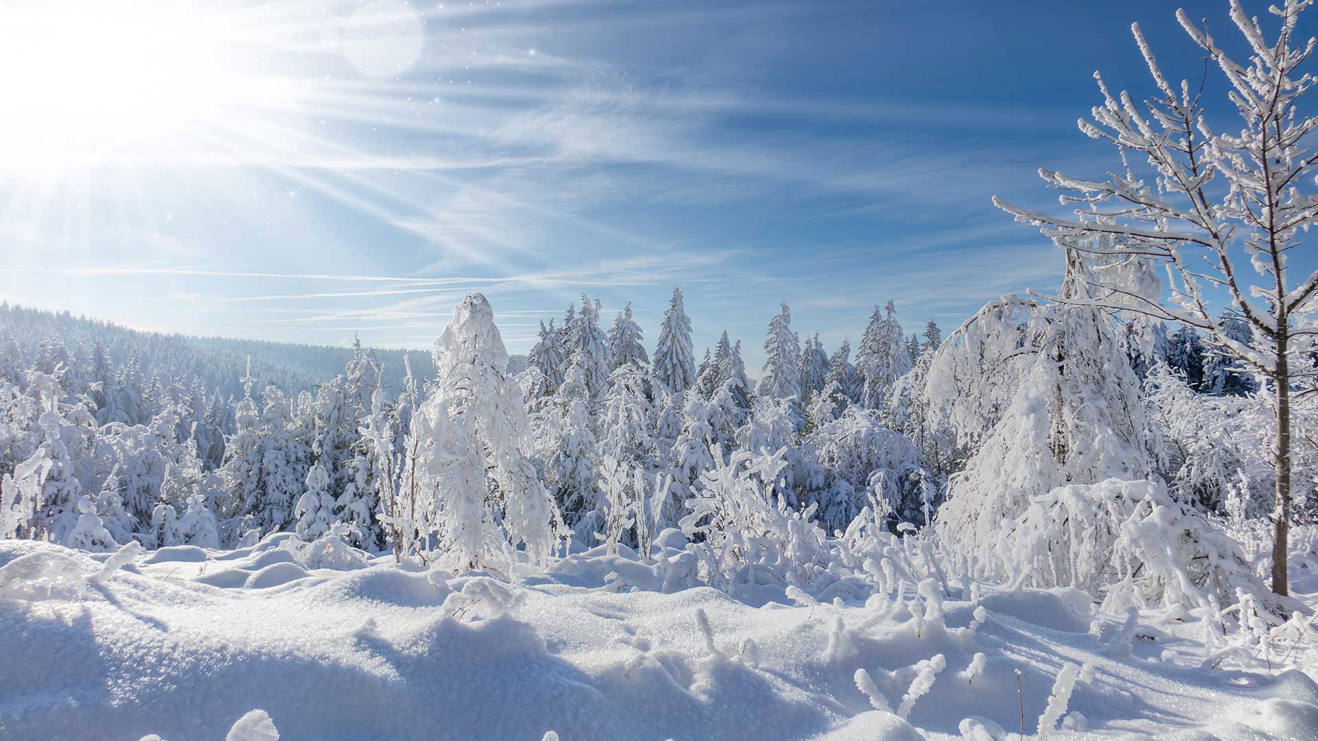 Oberhof im Winter, nahe Grenzadler