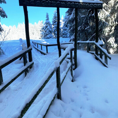 Schützenberghochmoor im Oberhofer Winter