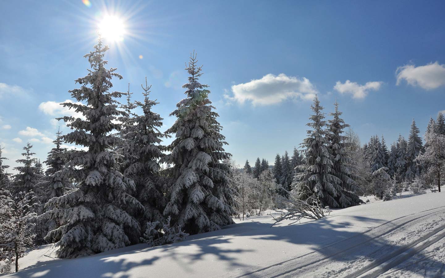 Winterwunderland in Oberhof