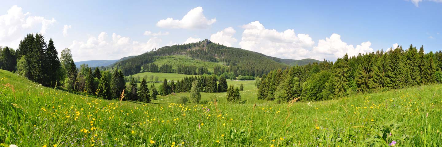Panoramablick am Kanzlersgrund, Oberhof