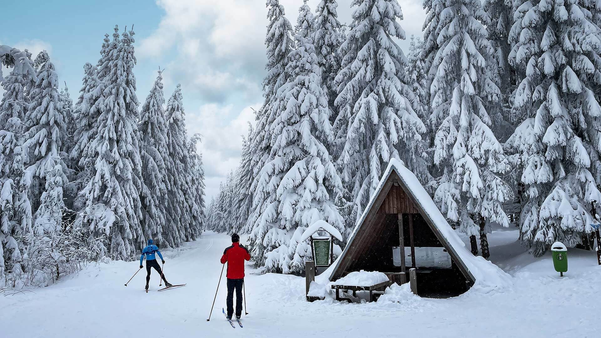 Skilanglauf durch den Winterwald in Oberhof