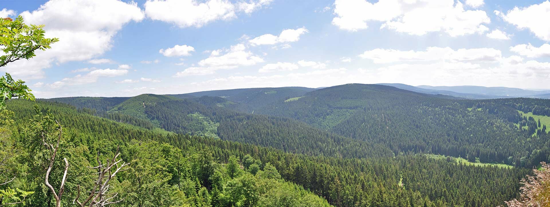 Blick über den grünen Thüringer Wald