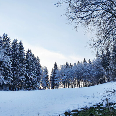Winterlandschaft am Sterngrund, Oberhof
